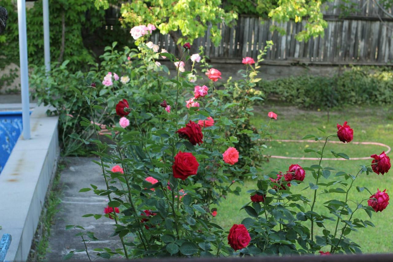 Guest House Green Veranda Mtsʼkhetʼa Exterior foto
